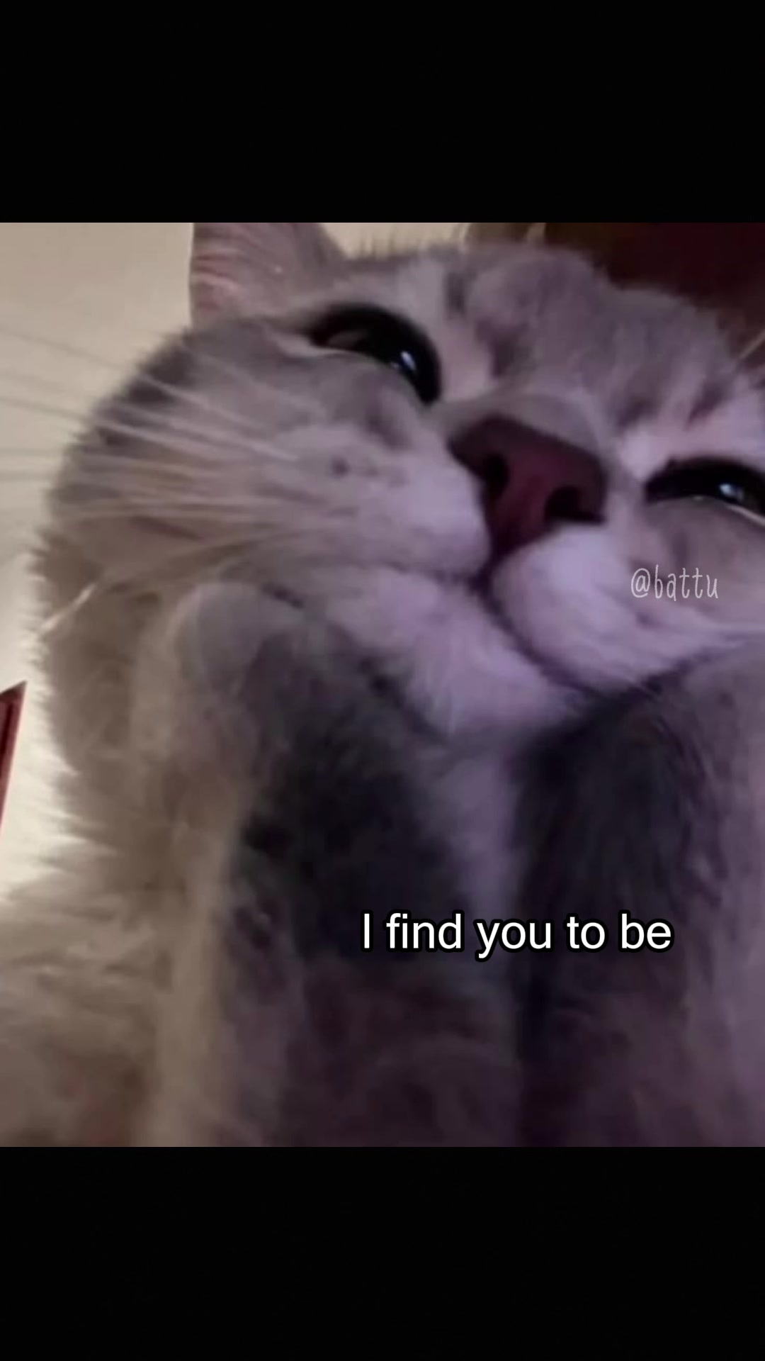 @Battu