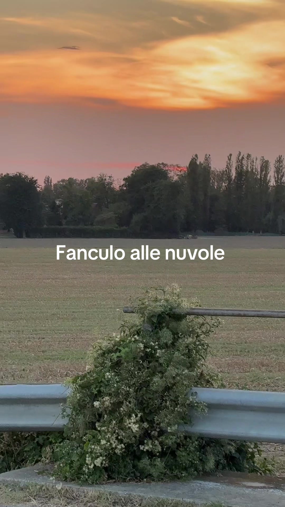 @Leonardo Orlandi215
