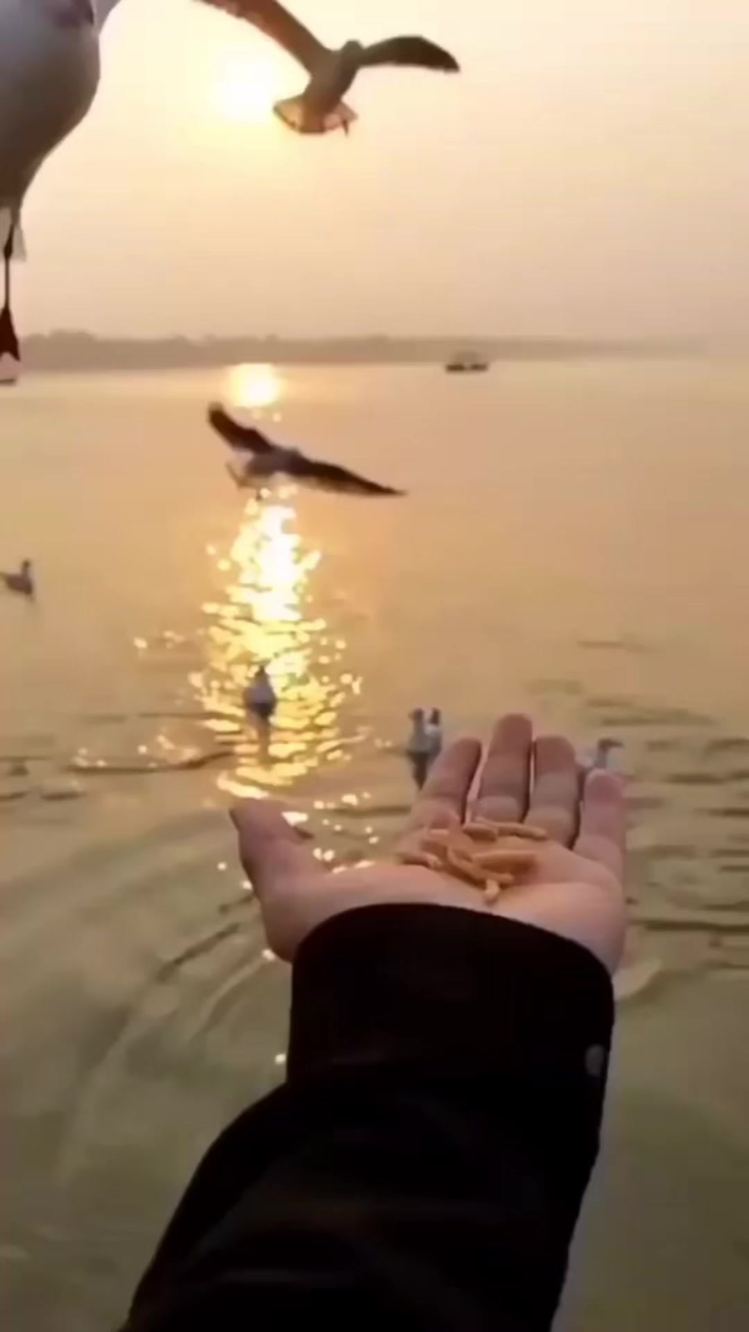 @شمس ☀️ "الحب وجع، والواقع أوجع