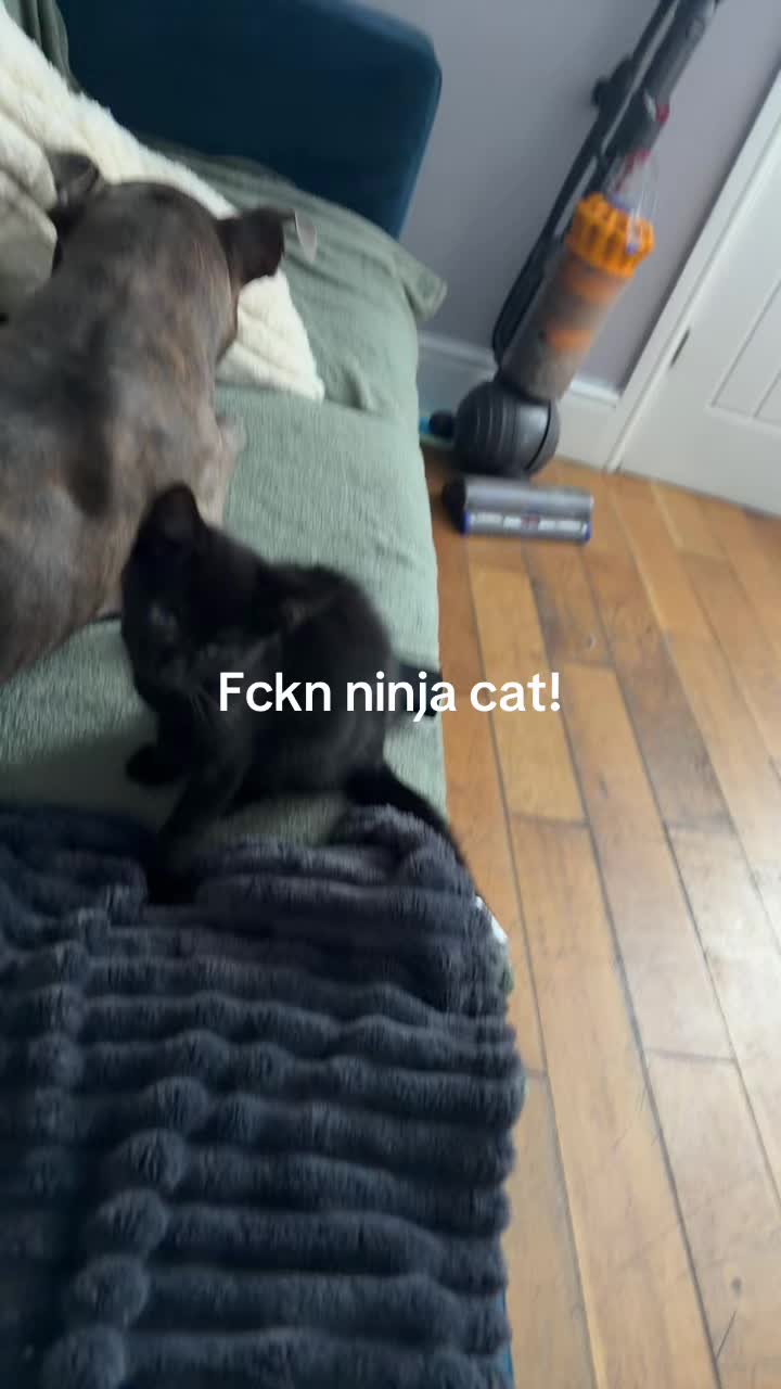 @Inkedmum