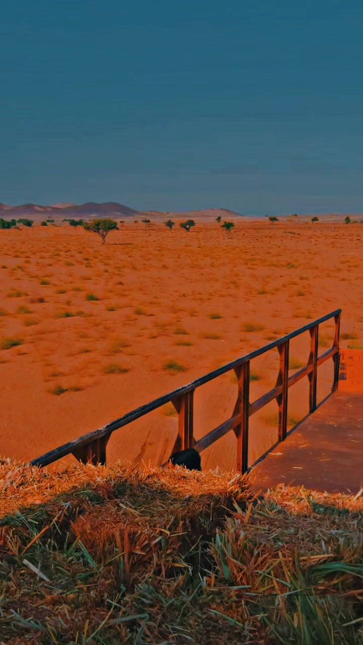 @نوید بلوچ 🇸🇦