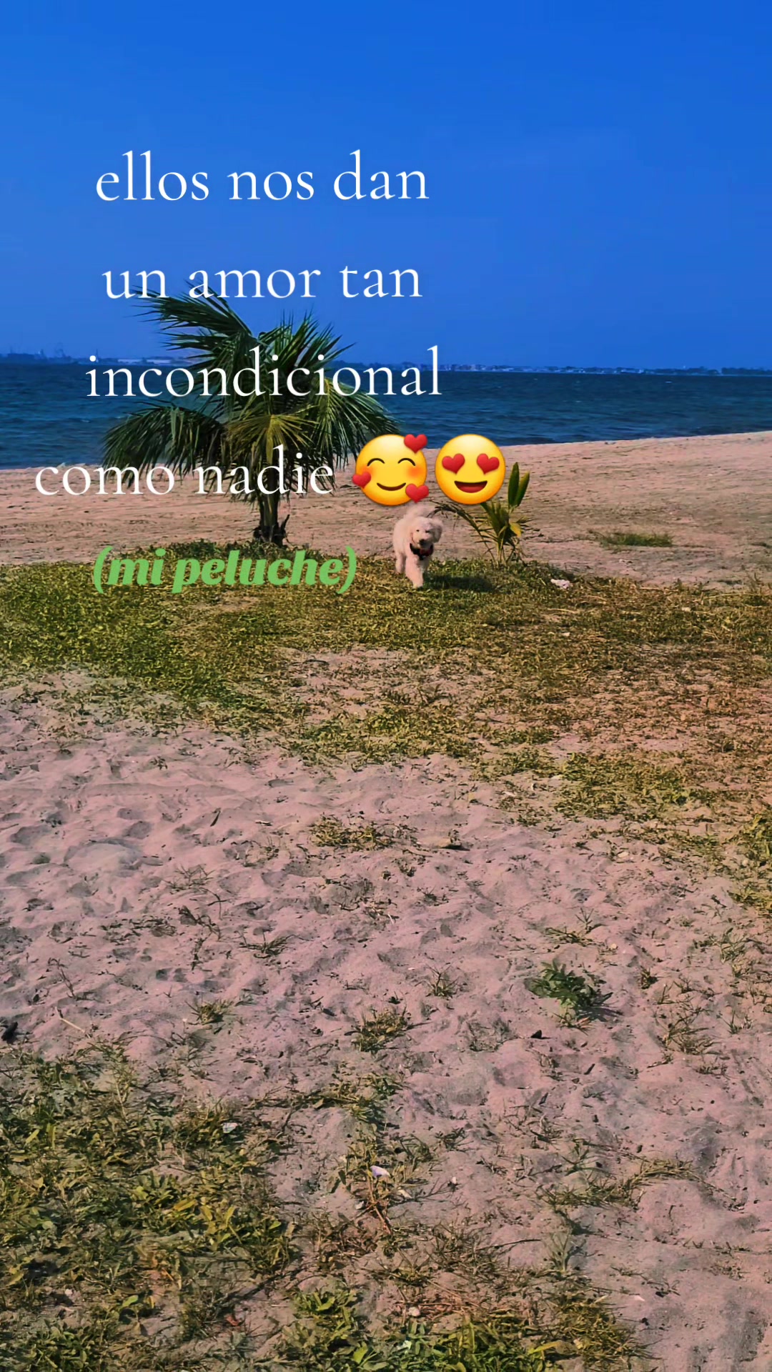 @Cär♡l👩⚕️🤍🥰