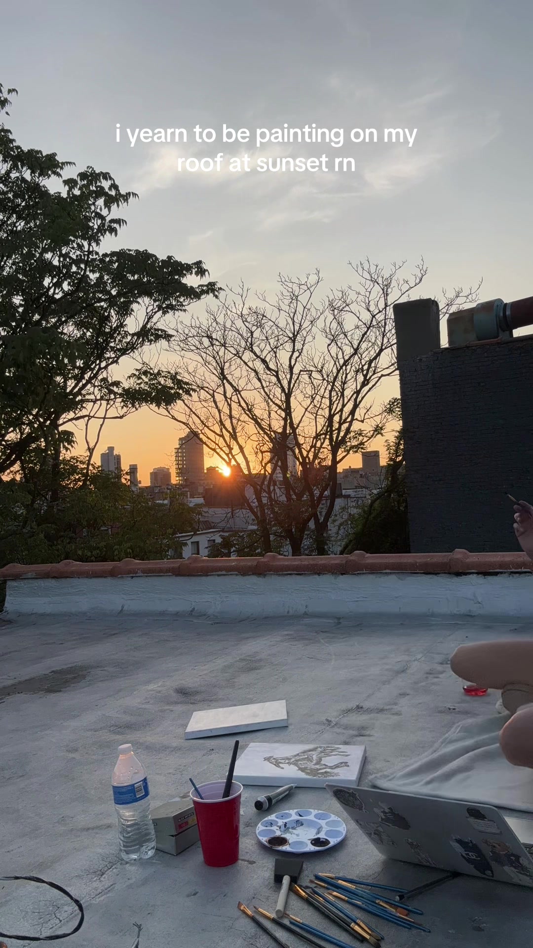 @livy 🥰