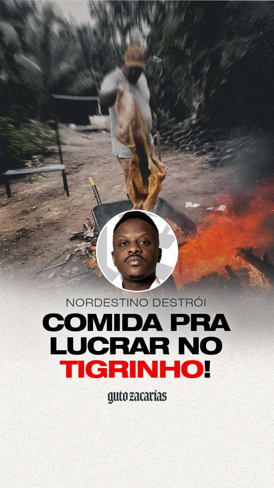 @Guto Zacarias