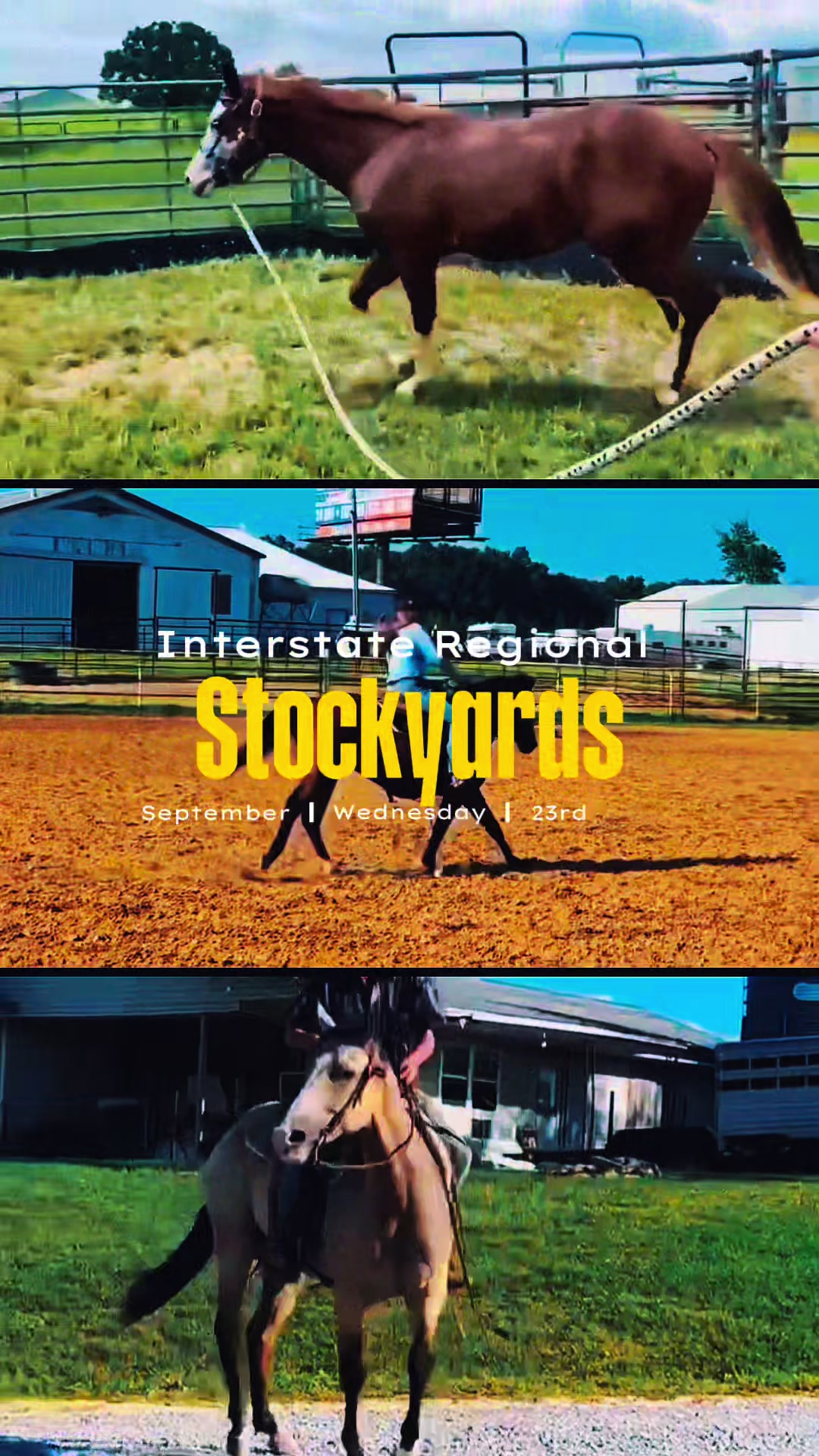 @HorseAuctionsUSA