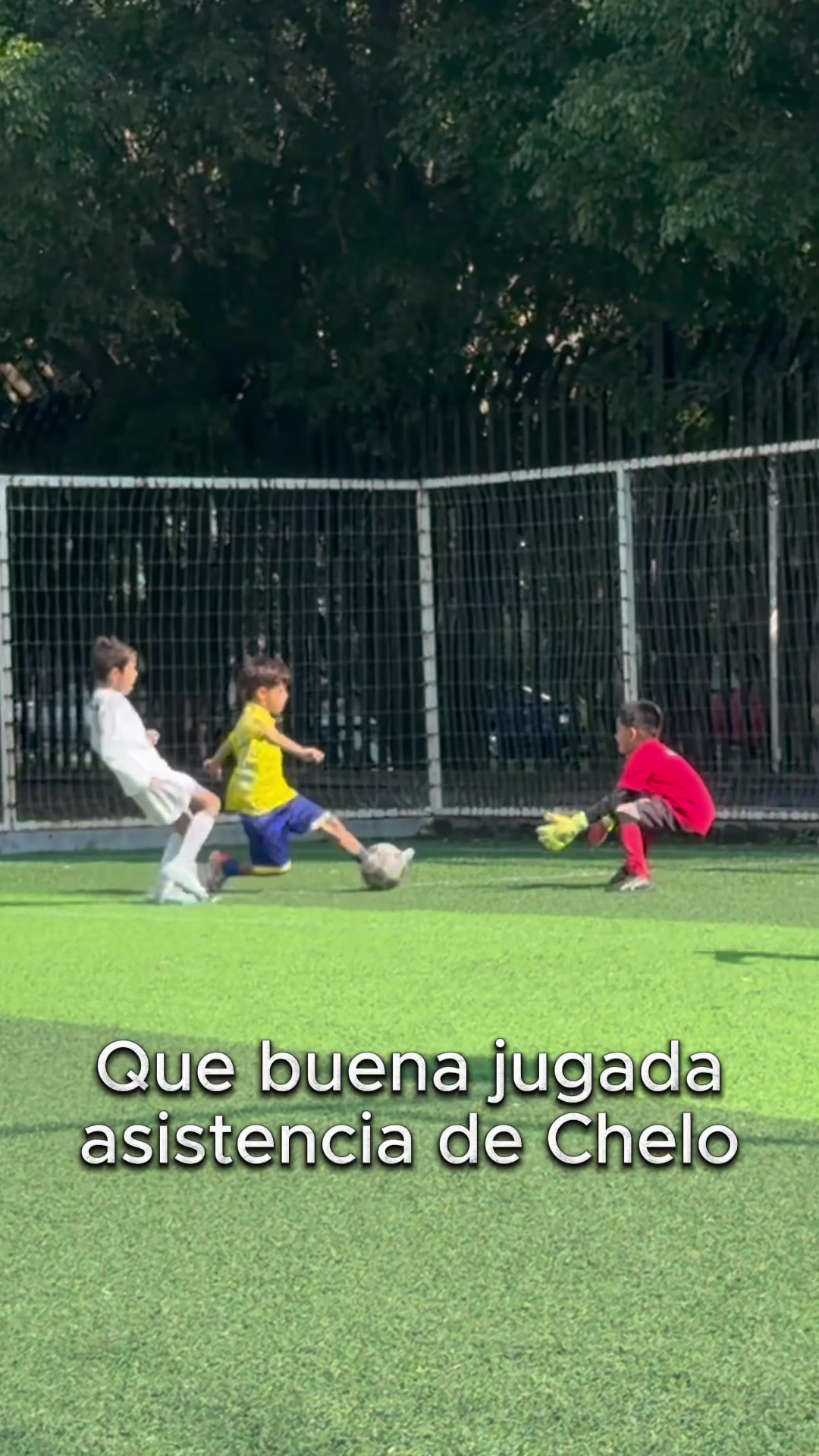 @Los Macías