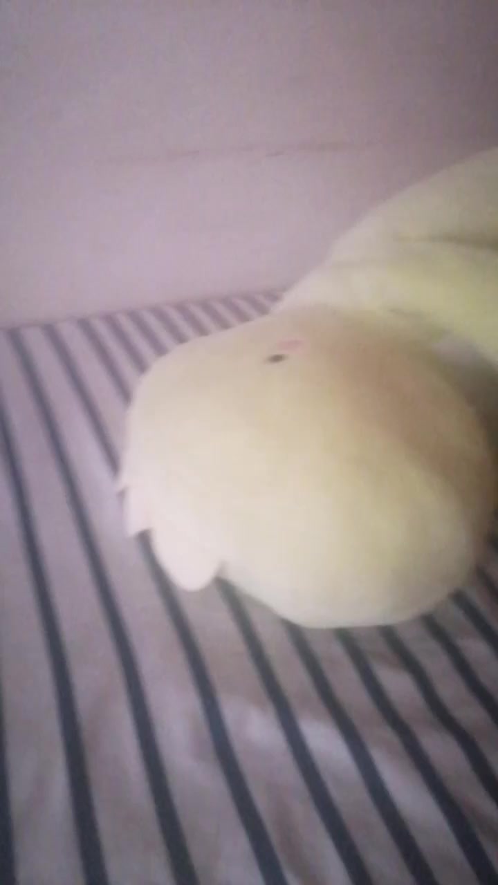@๐ฌ๐ธ๐ฌ๐
๐บ๐น