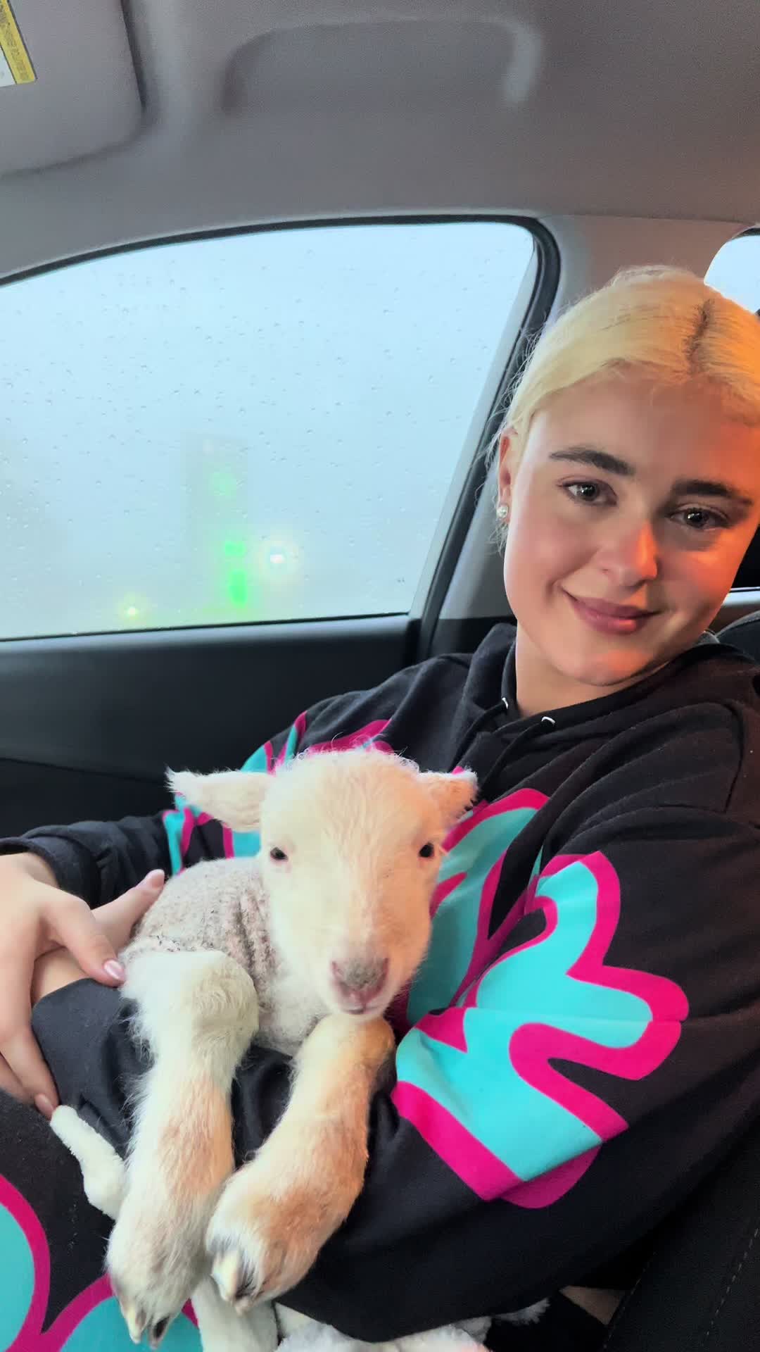 @Stefania Ferrario