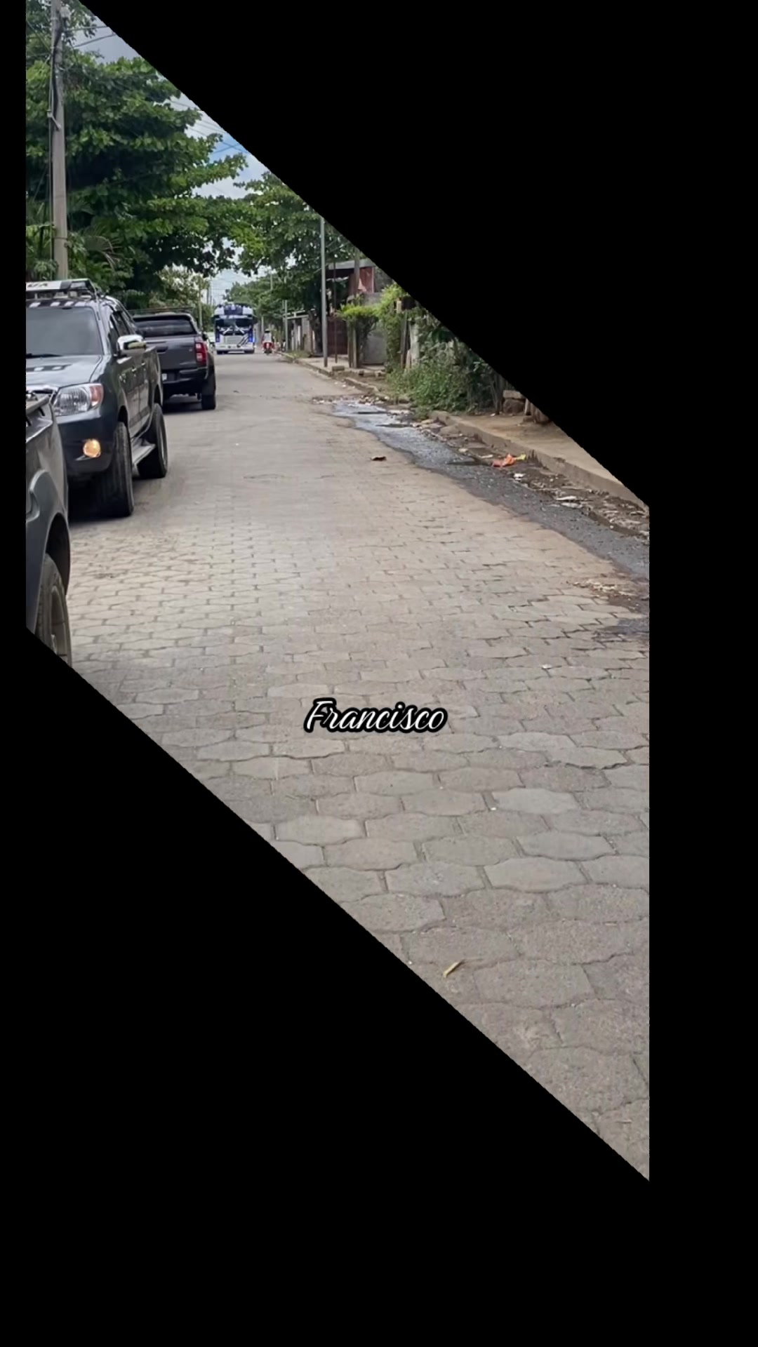 @Francisco Ram&iacute;rez 😻