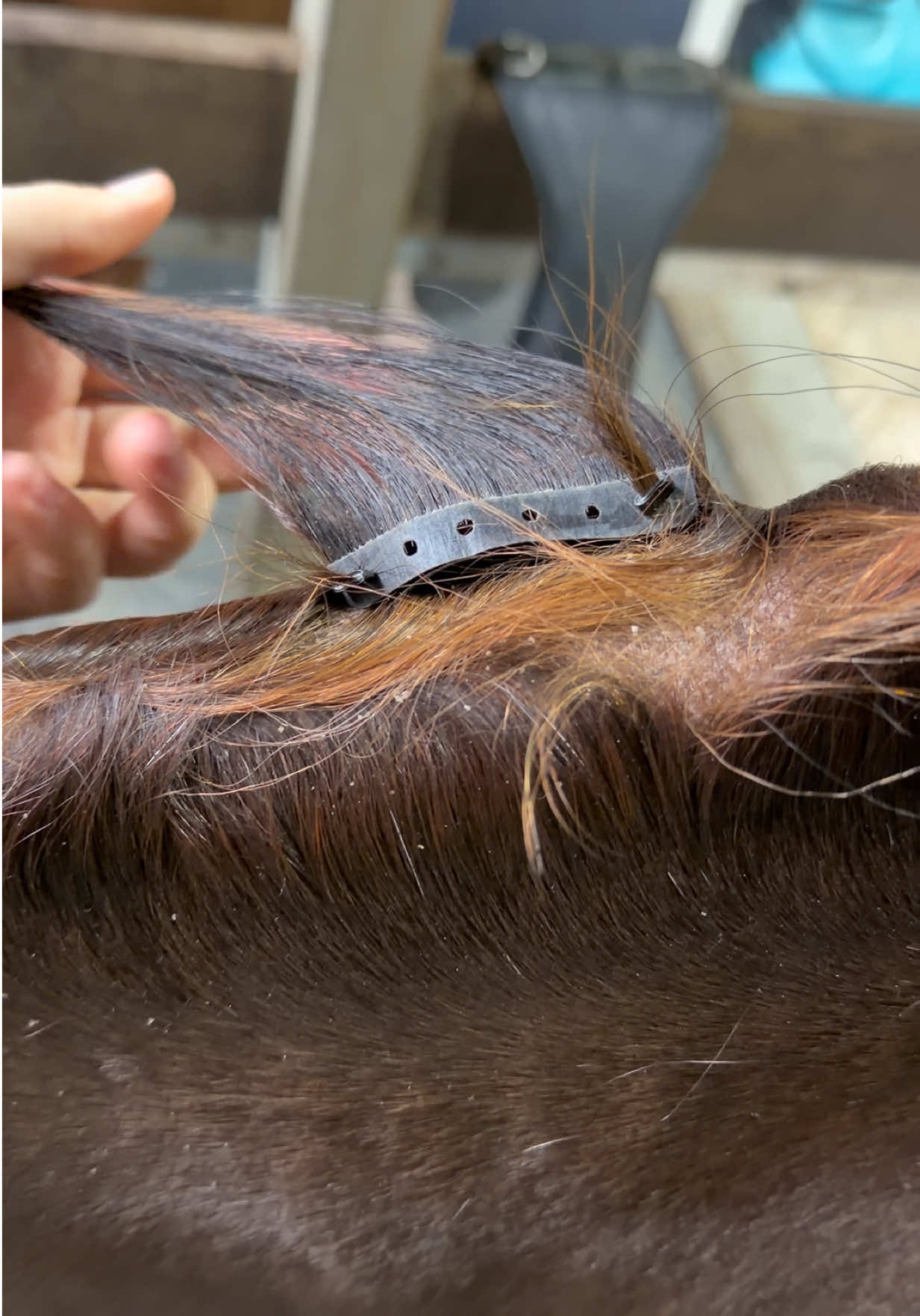 @Luxe Lengths Equine Extensions