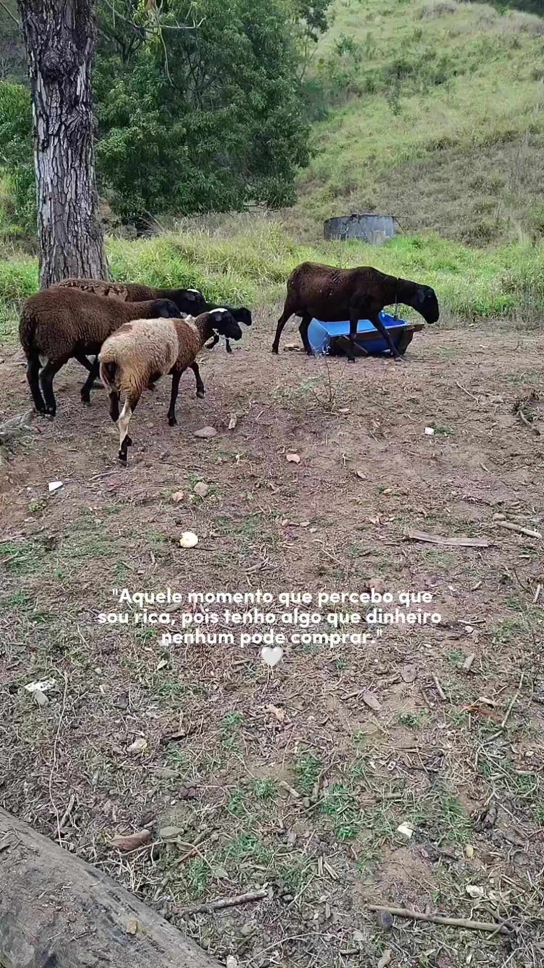 @Karine Oliveira