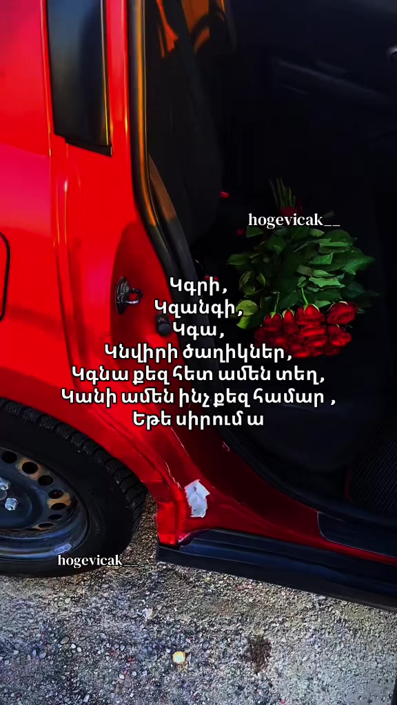 @hogevicak__