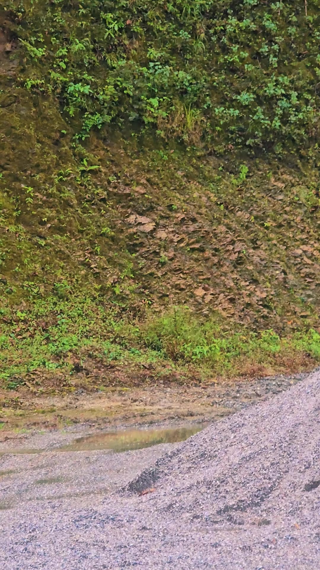 @Sushil_Shrestha52