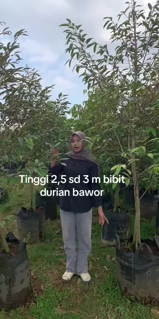 @RATU BIBIT