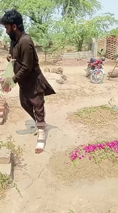 @shahidali_5911