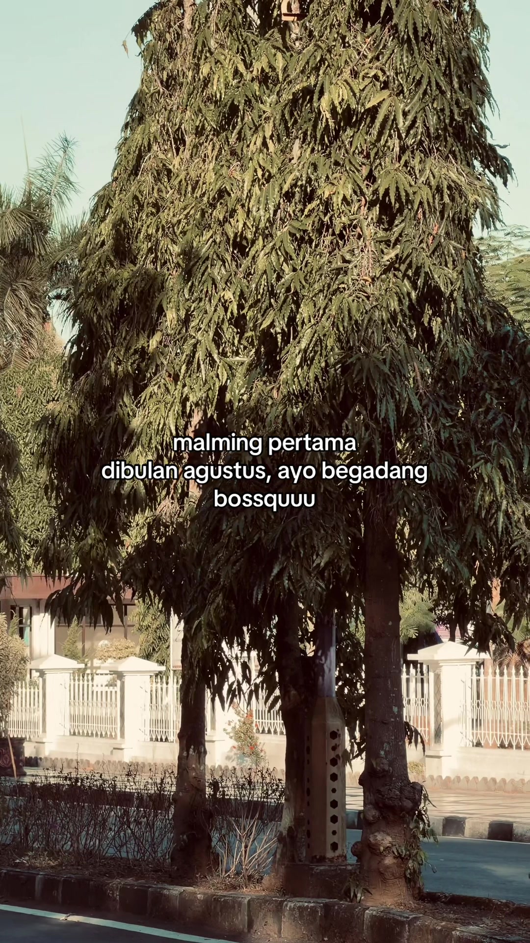 @syash💫