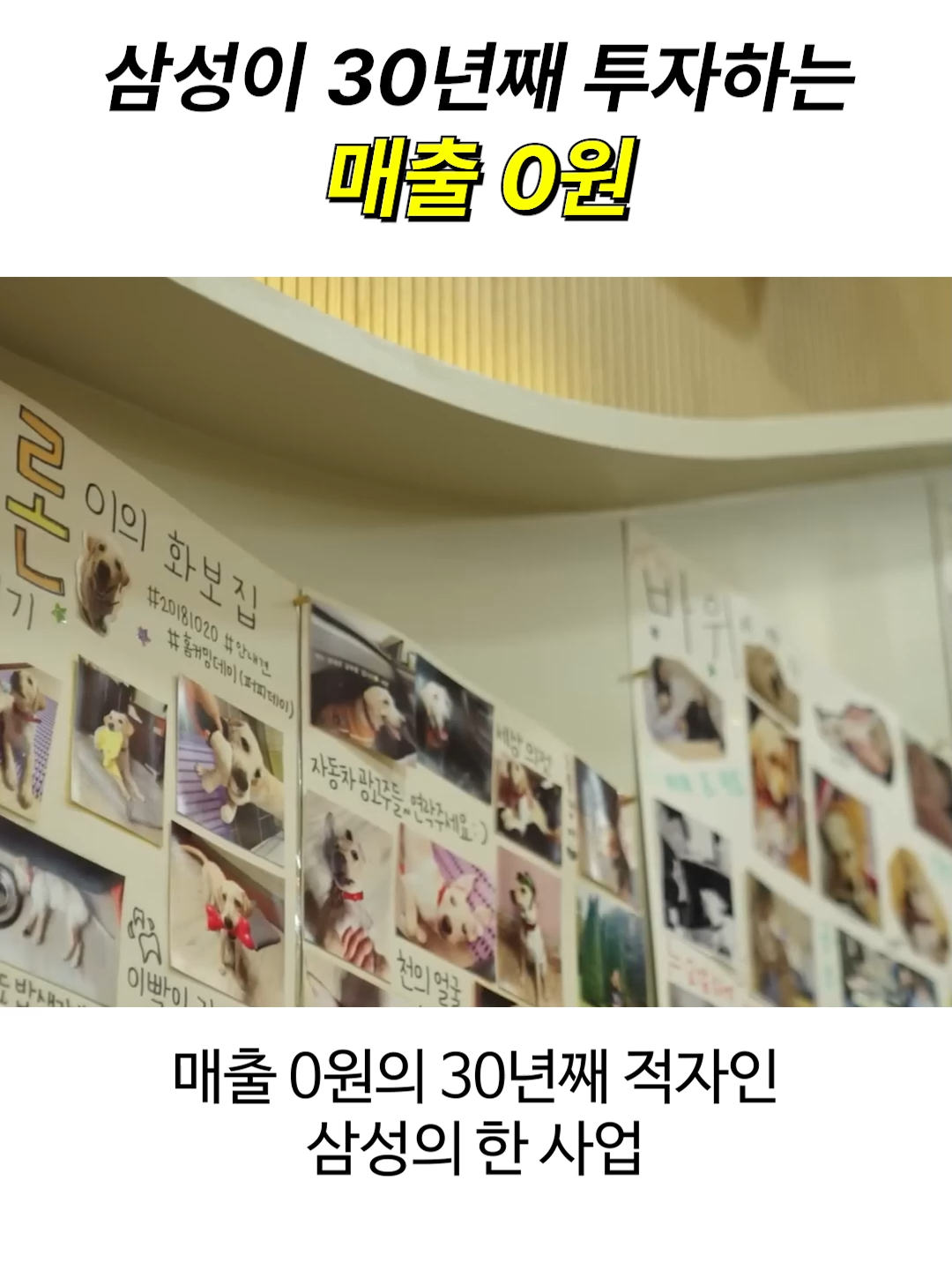 @일요시사