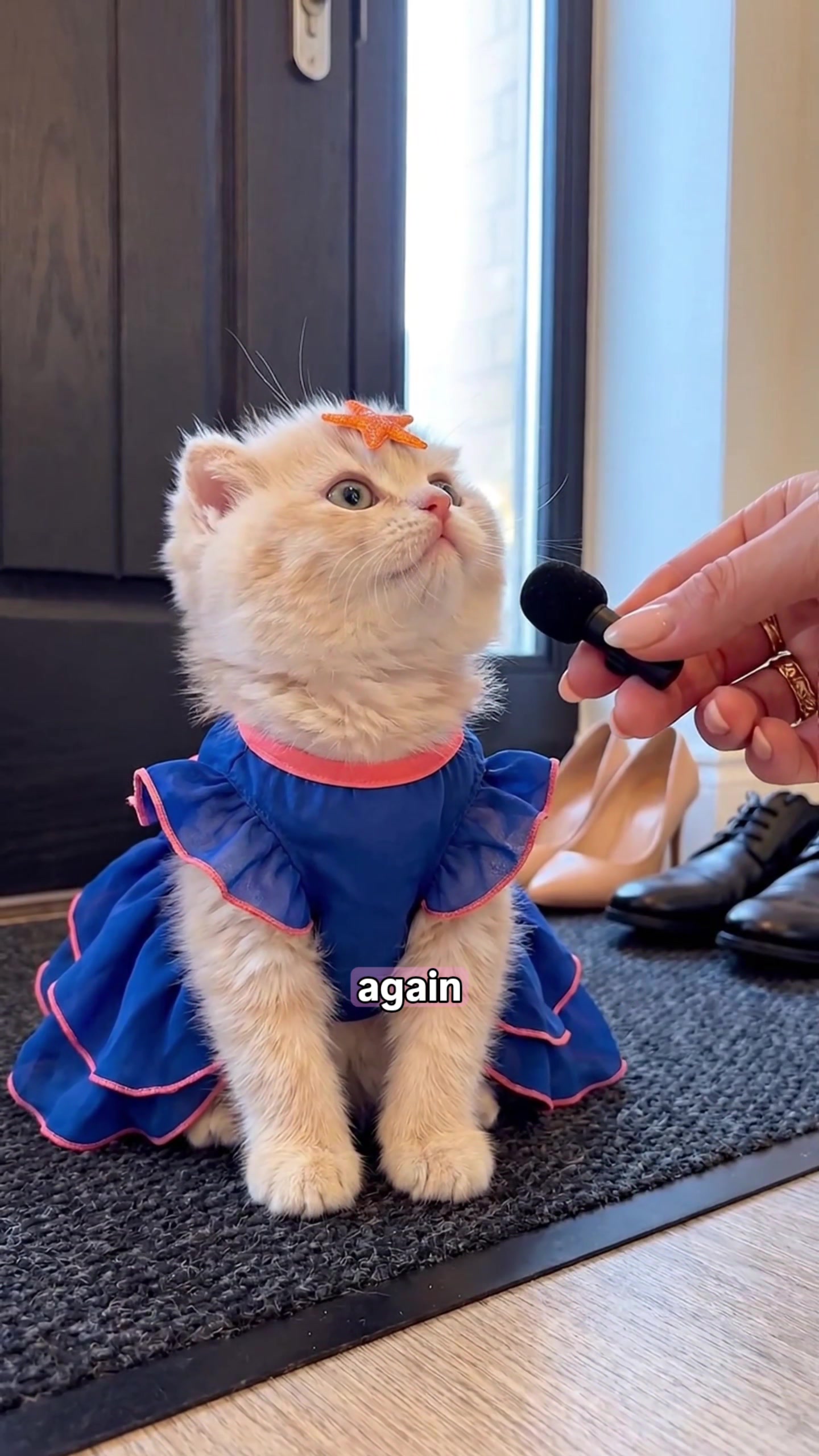 @Kiki