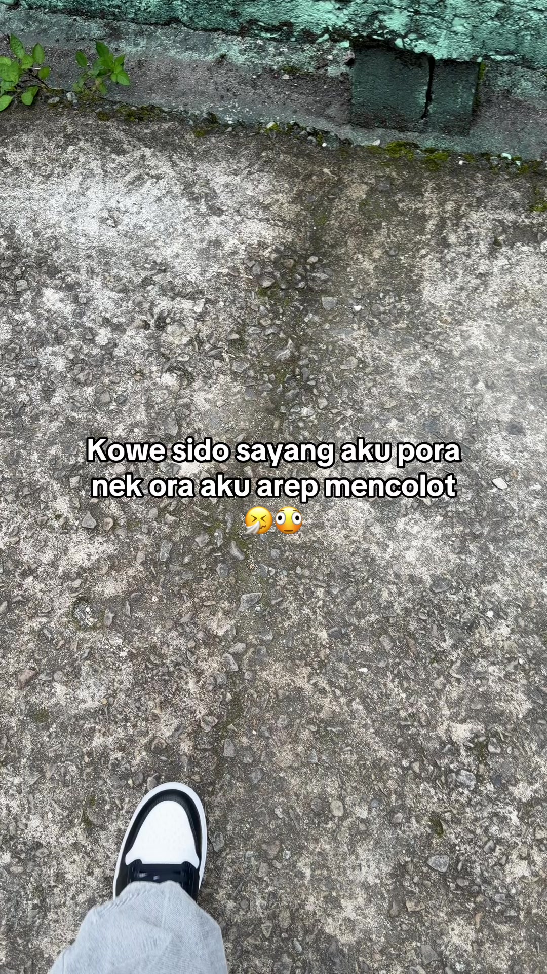 @Sephia