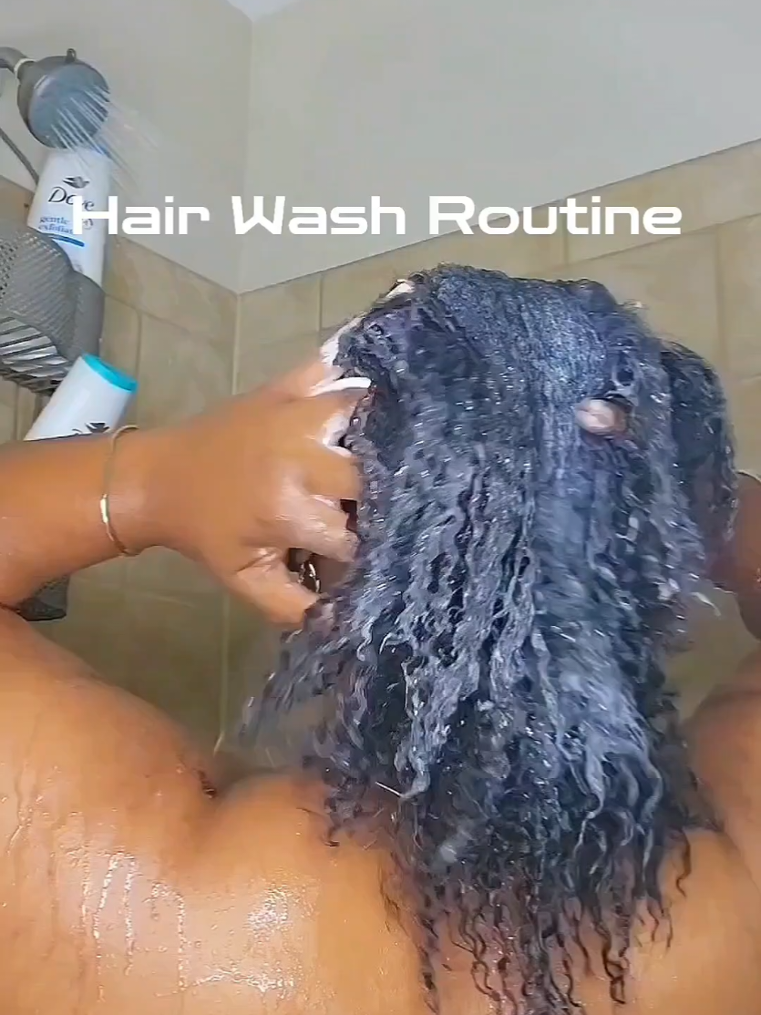 @ShibaBaby