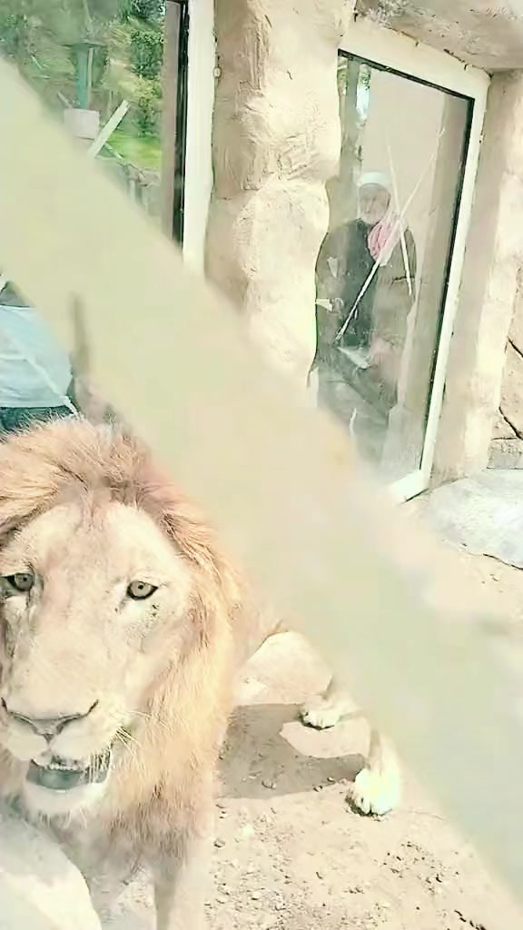@کاظم کلہ