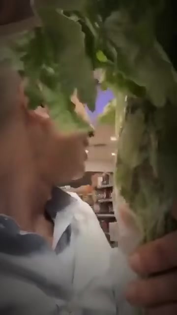 @رحال المدينة