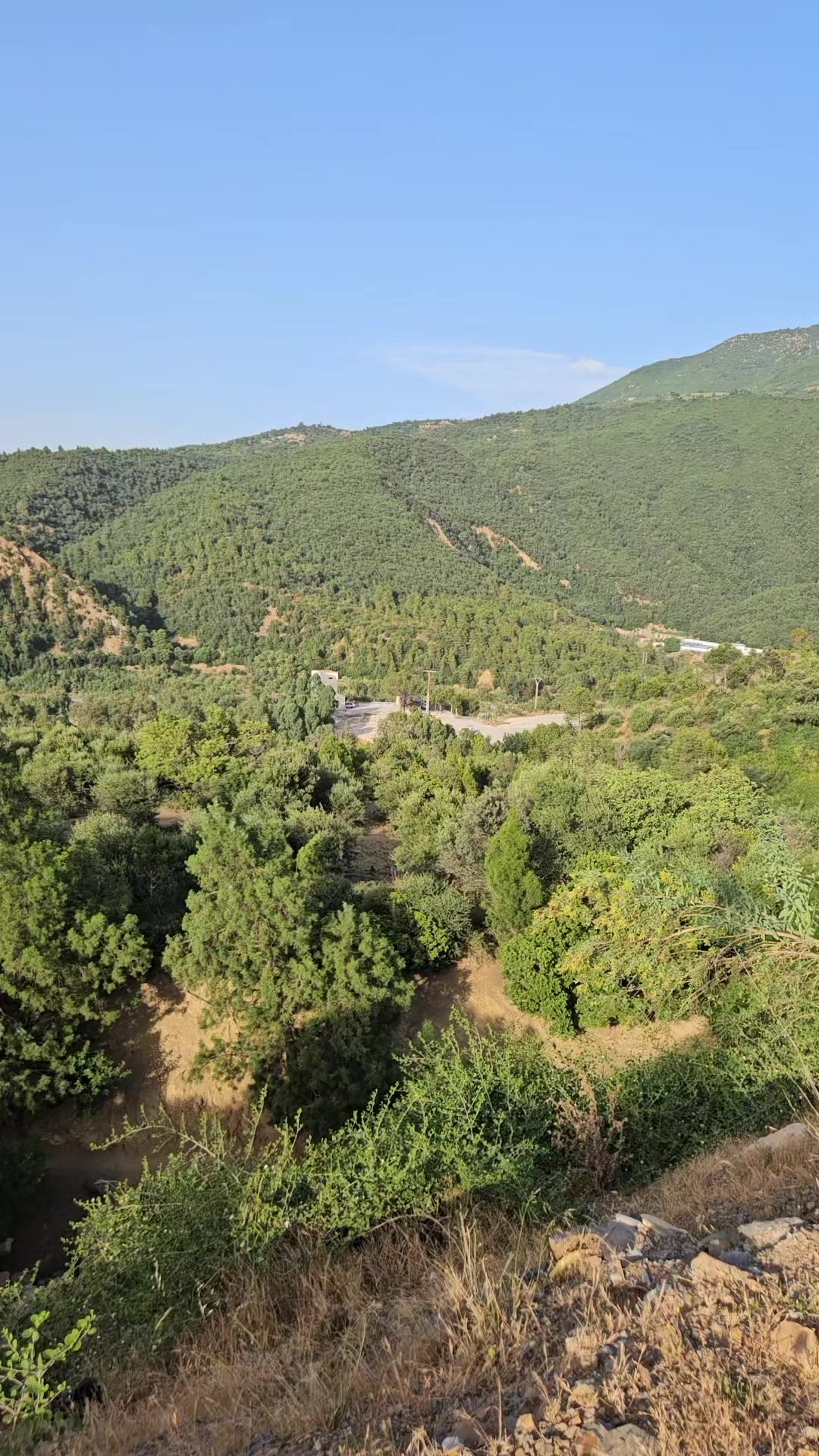 @قدور ولد البيرين اوفيسيال