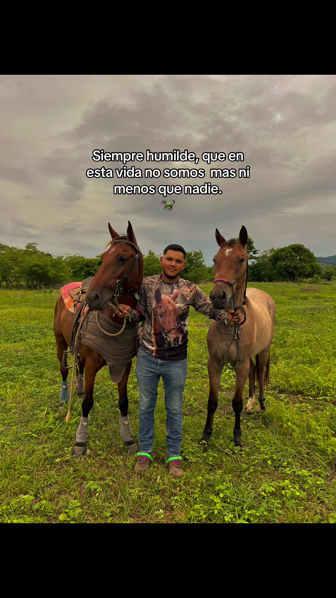 @Henry🤠