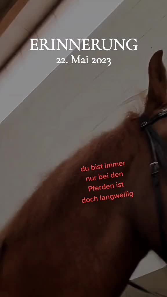 @Petra