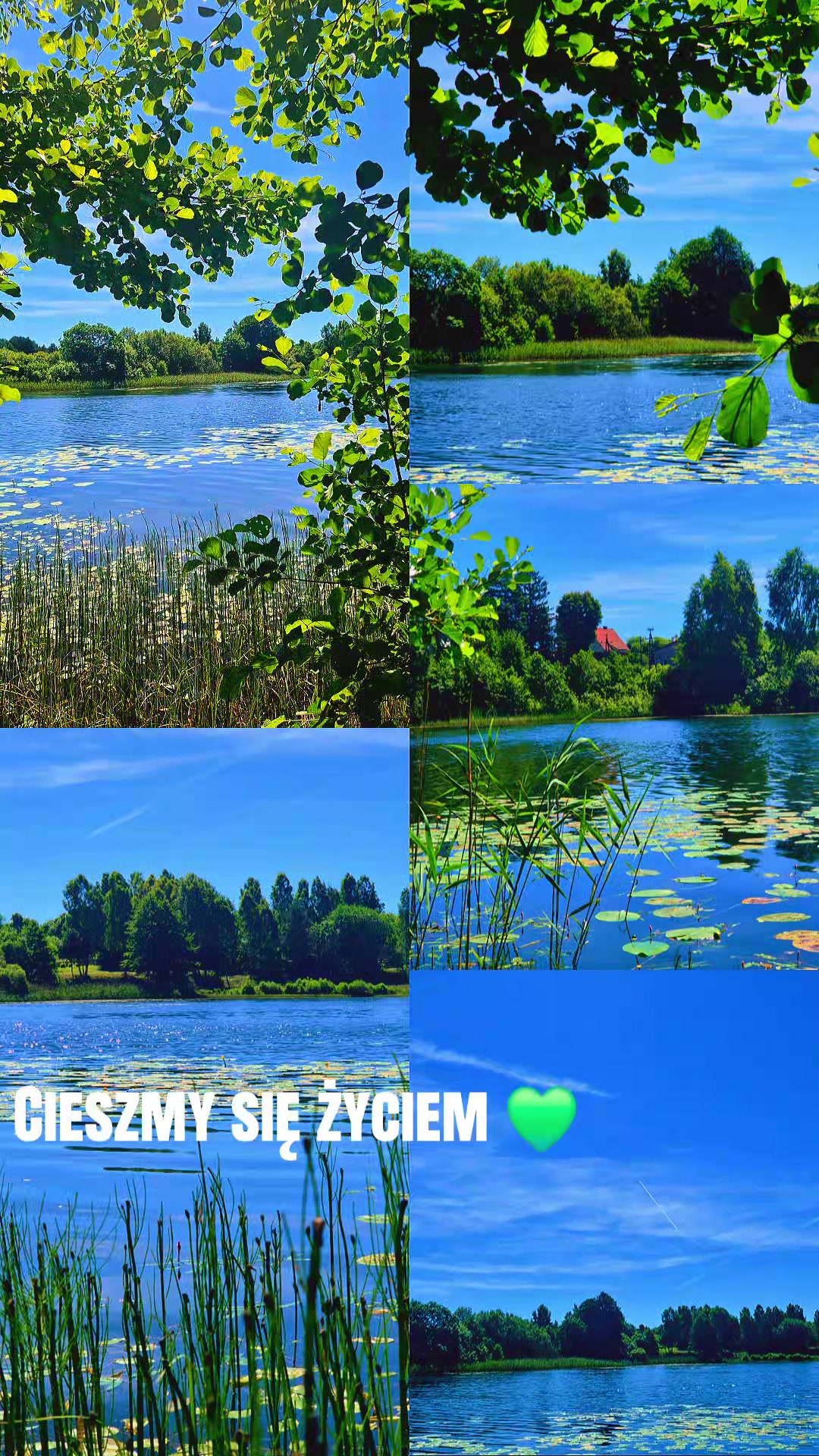 @🌺🪻aasia🌺🪻