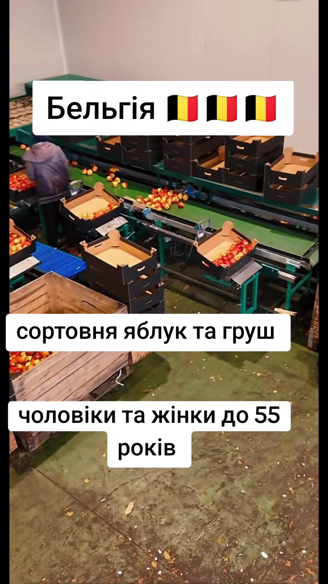 @Бельгія та Нідерланди