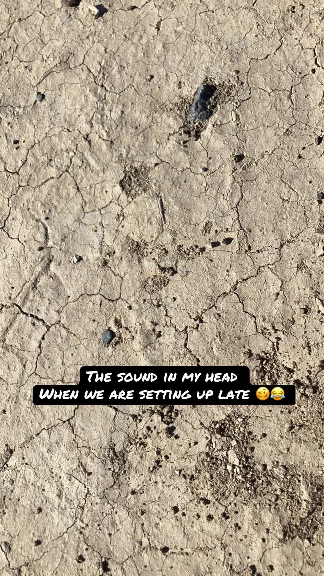 @Shmaine Dwayne