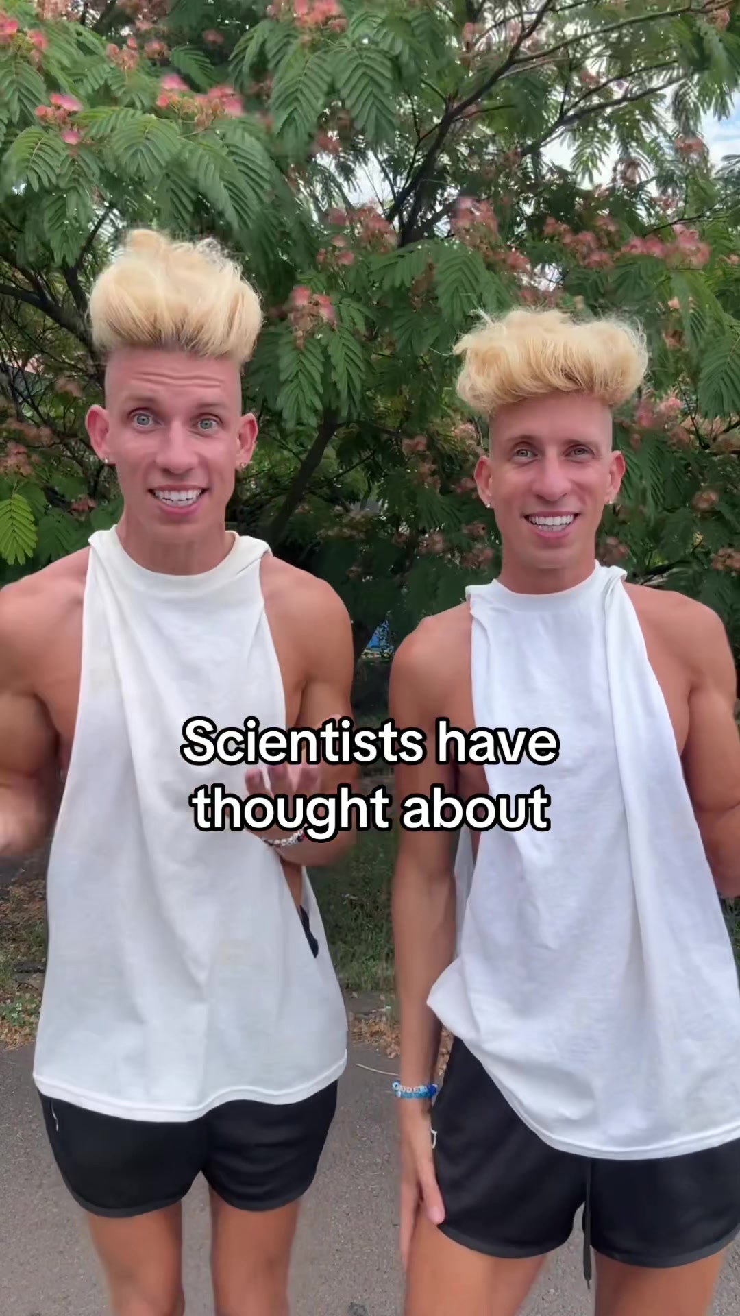 @vorostwins