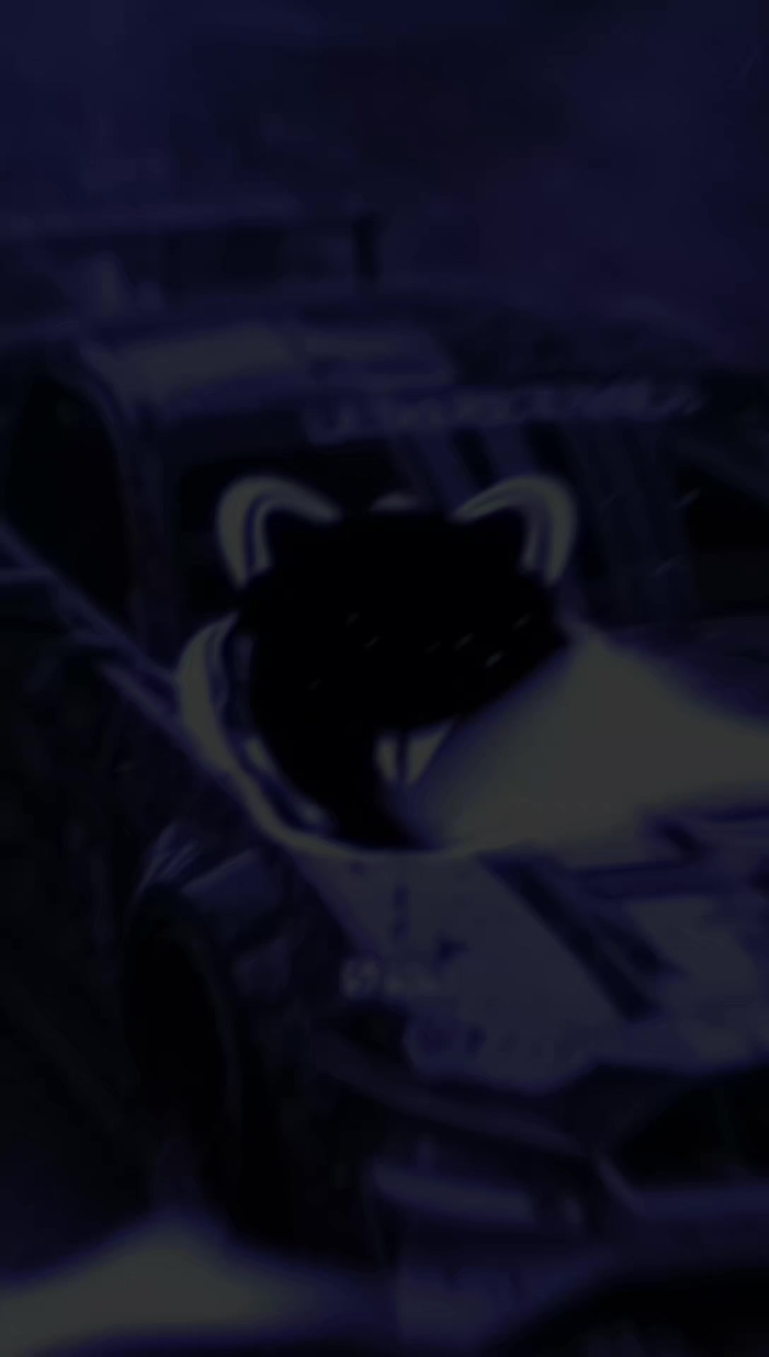 @𝐊𝐢𝐧𝐠 𝐒𝐨𝐮𝐧𝐝