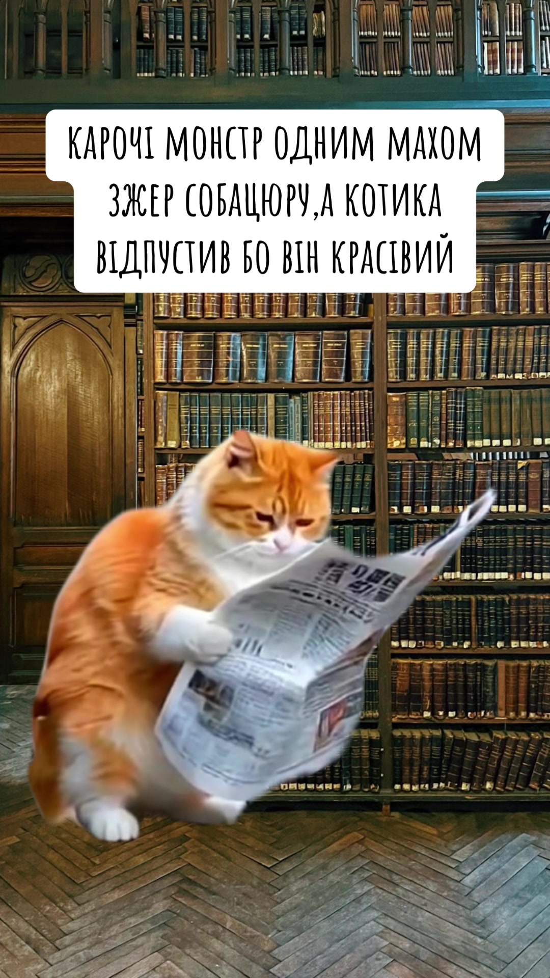 @timka.kit