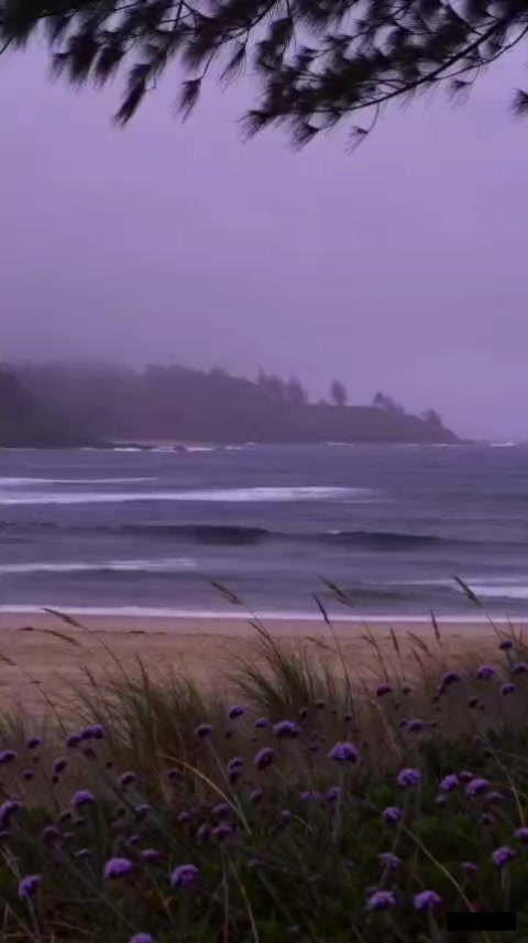 @minimike || pmghxst โง