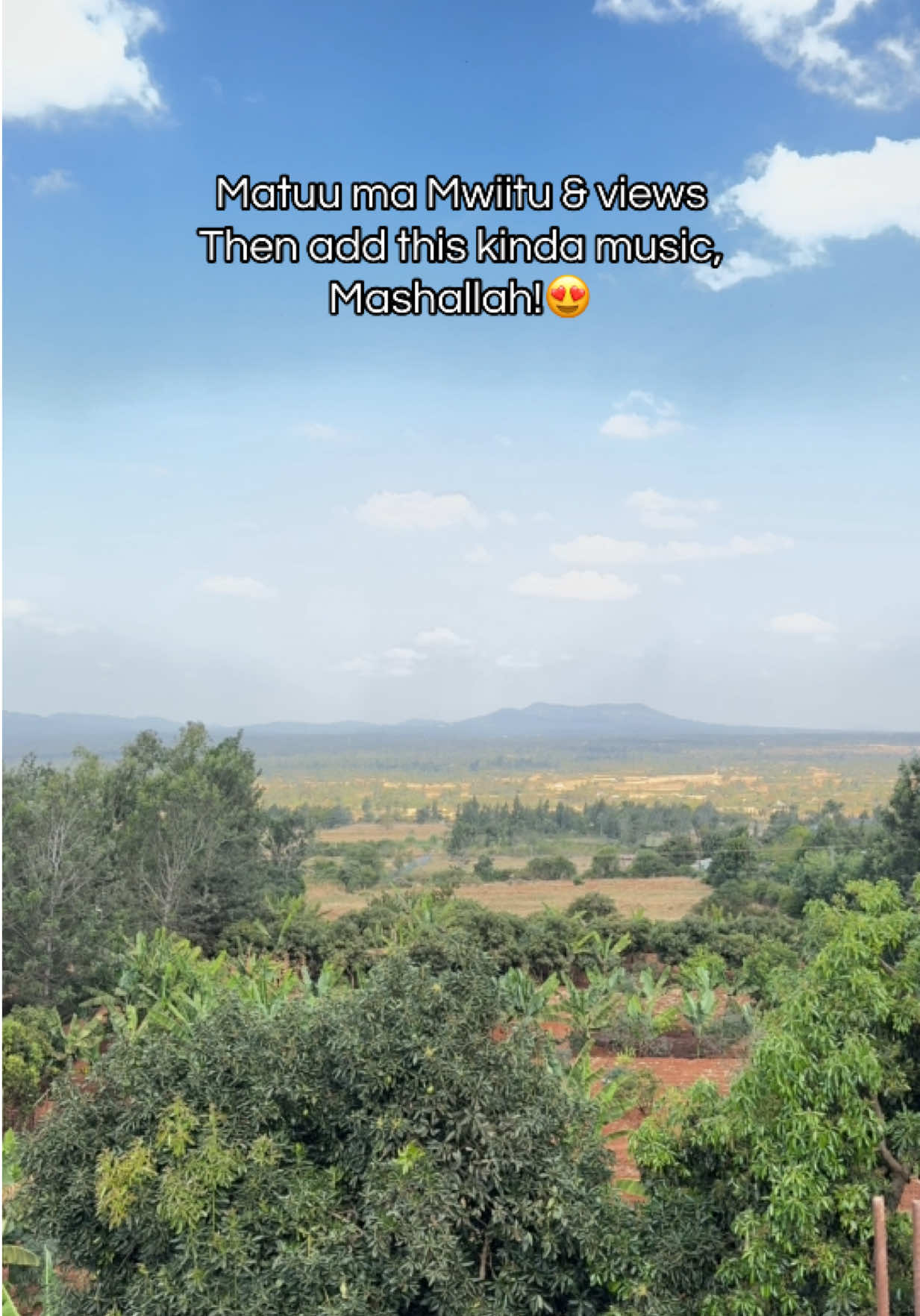 @Boni Mjenzi