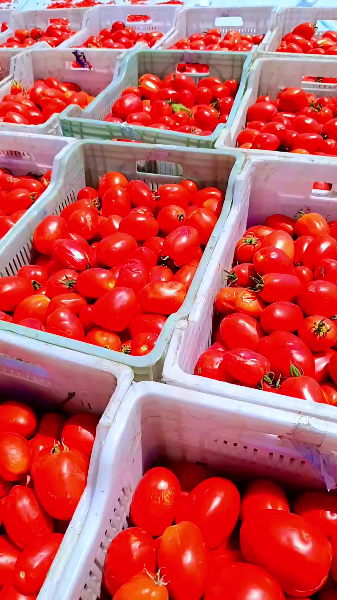 @🔥 ZÜLFÜKAR 🔥