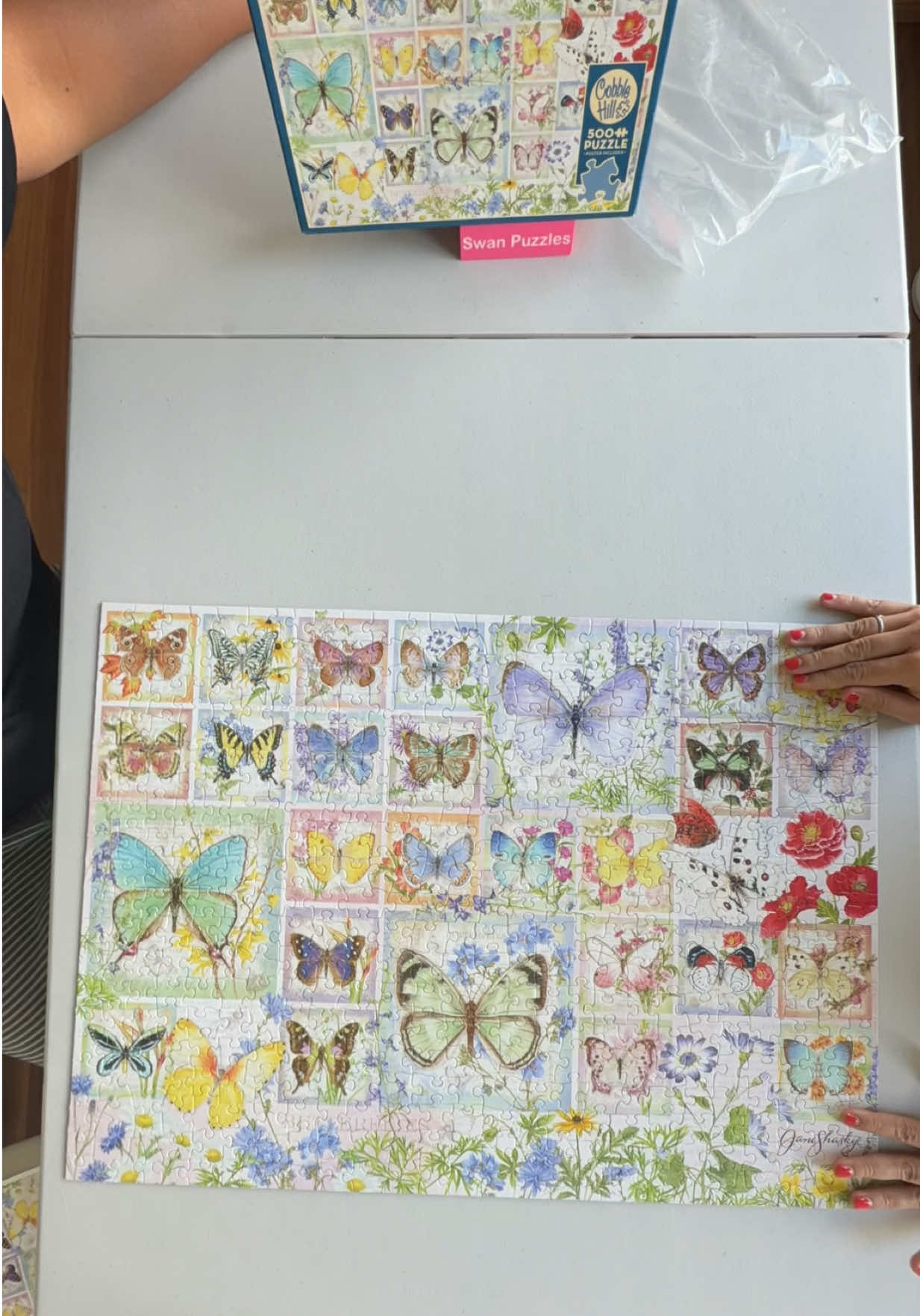@Swan Puzzles