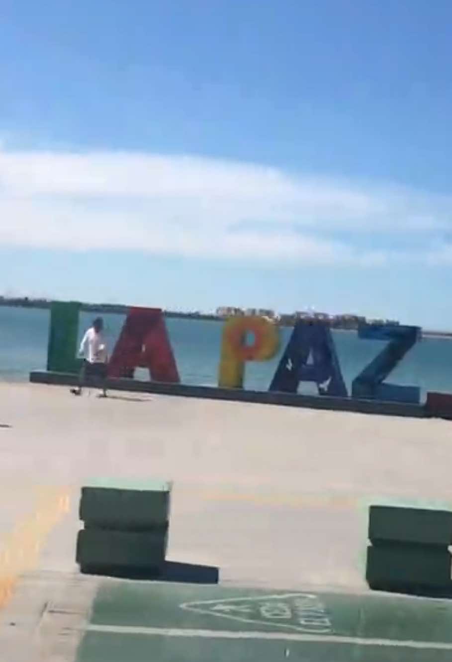 @Pollisrex