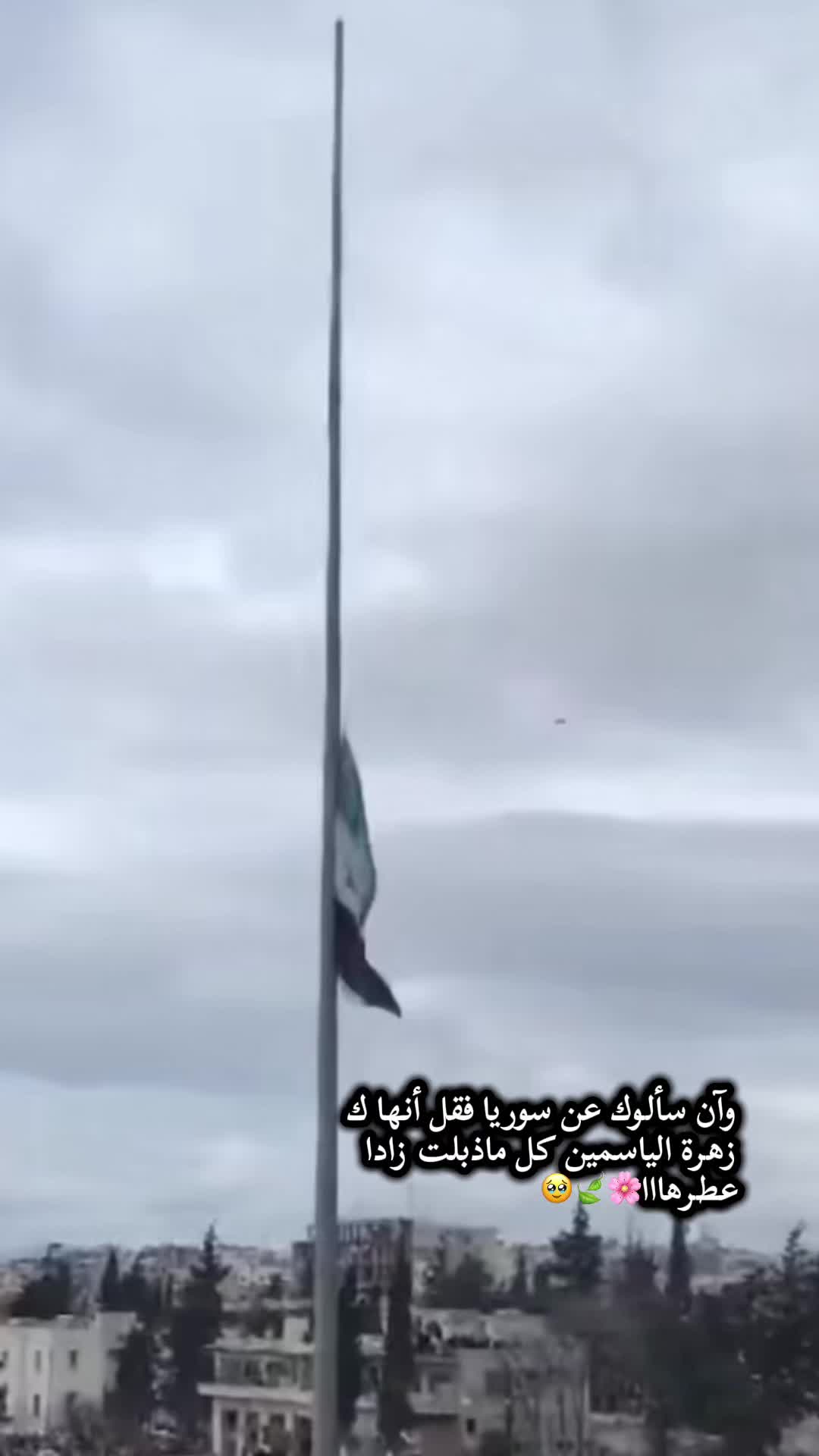 @الـشـيخــة