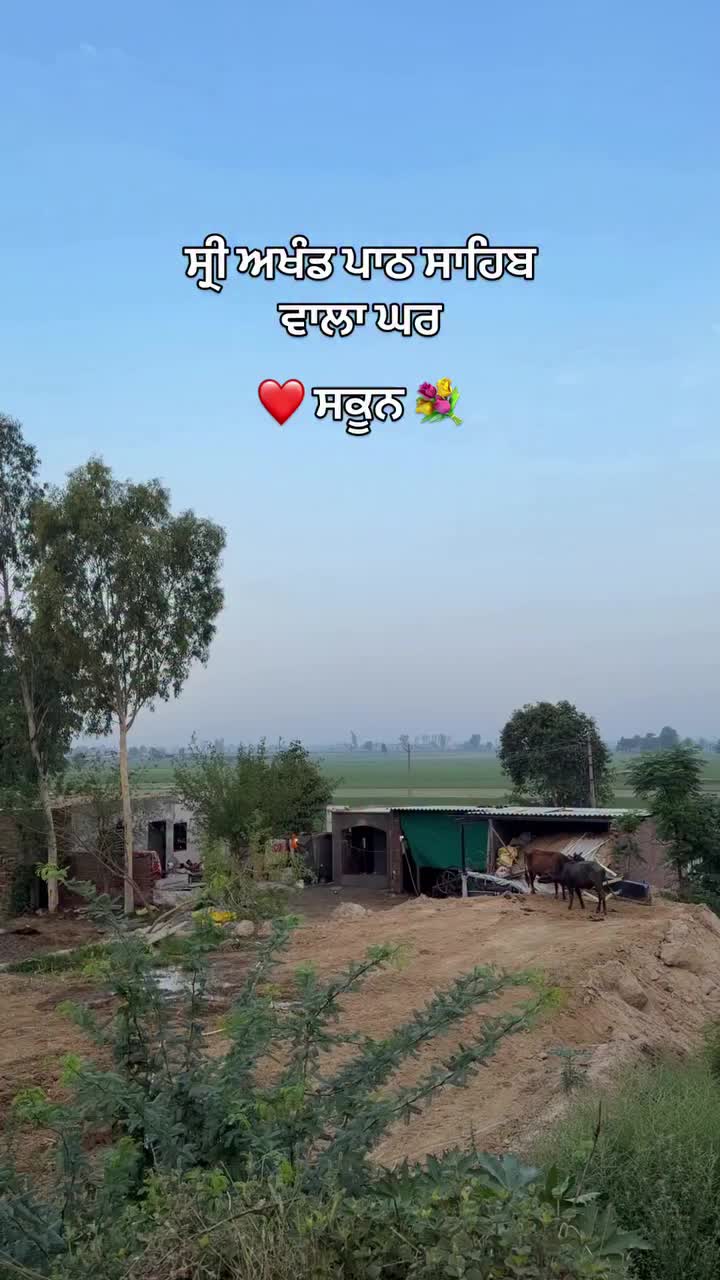 @☬ ਮੁੰਡਾ ਸਰਦਾਰਾਂ ਦਾ ☬🚩
