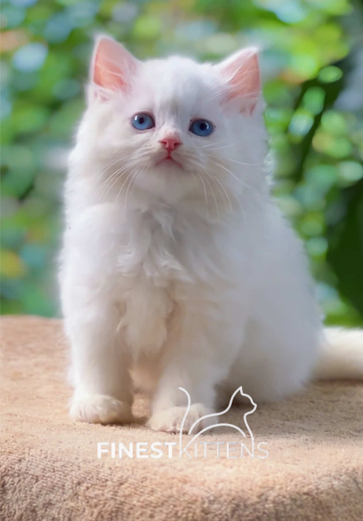 @FinestKittens