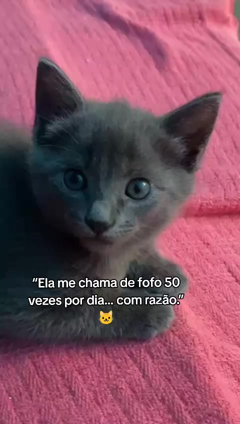 @taty_2803