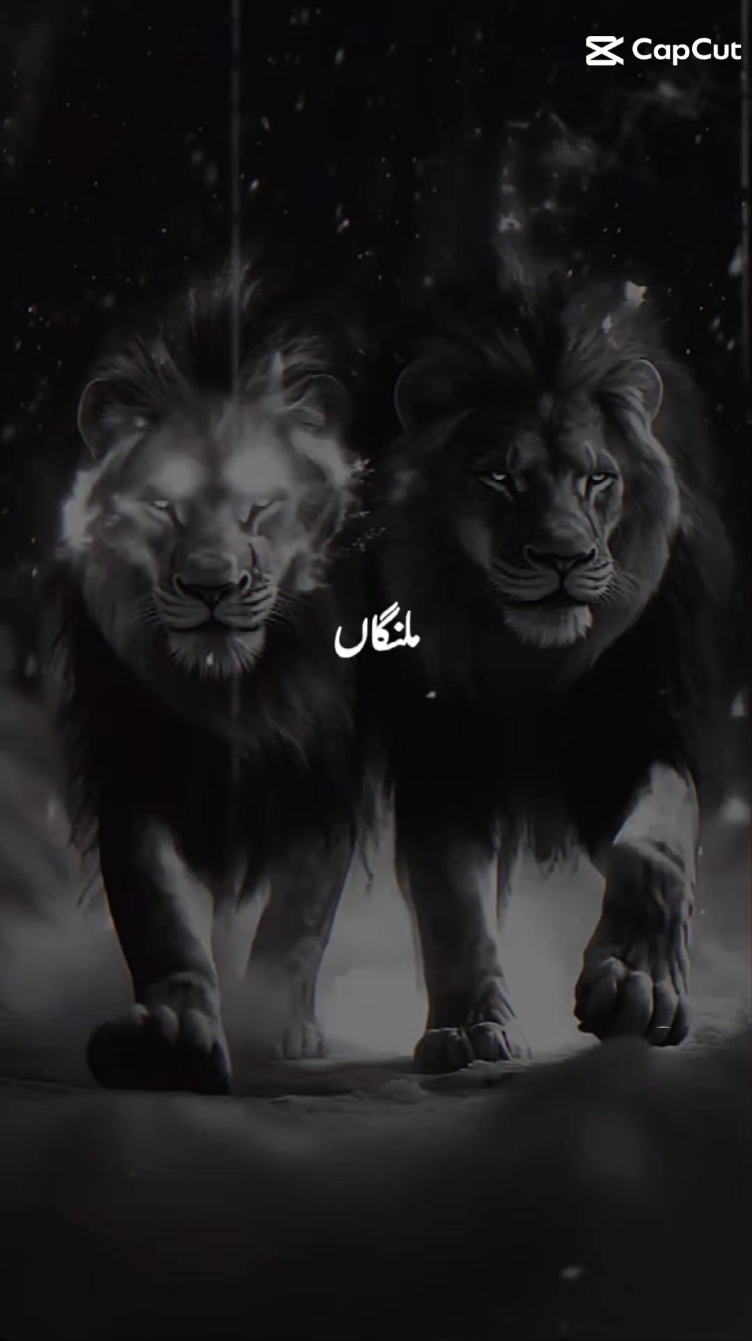 @ببر شیر