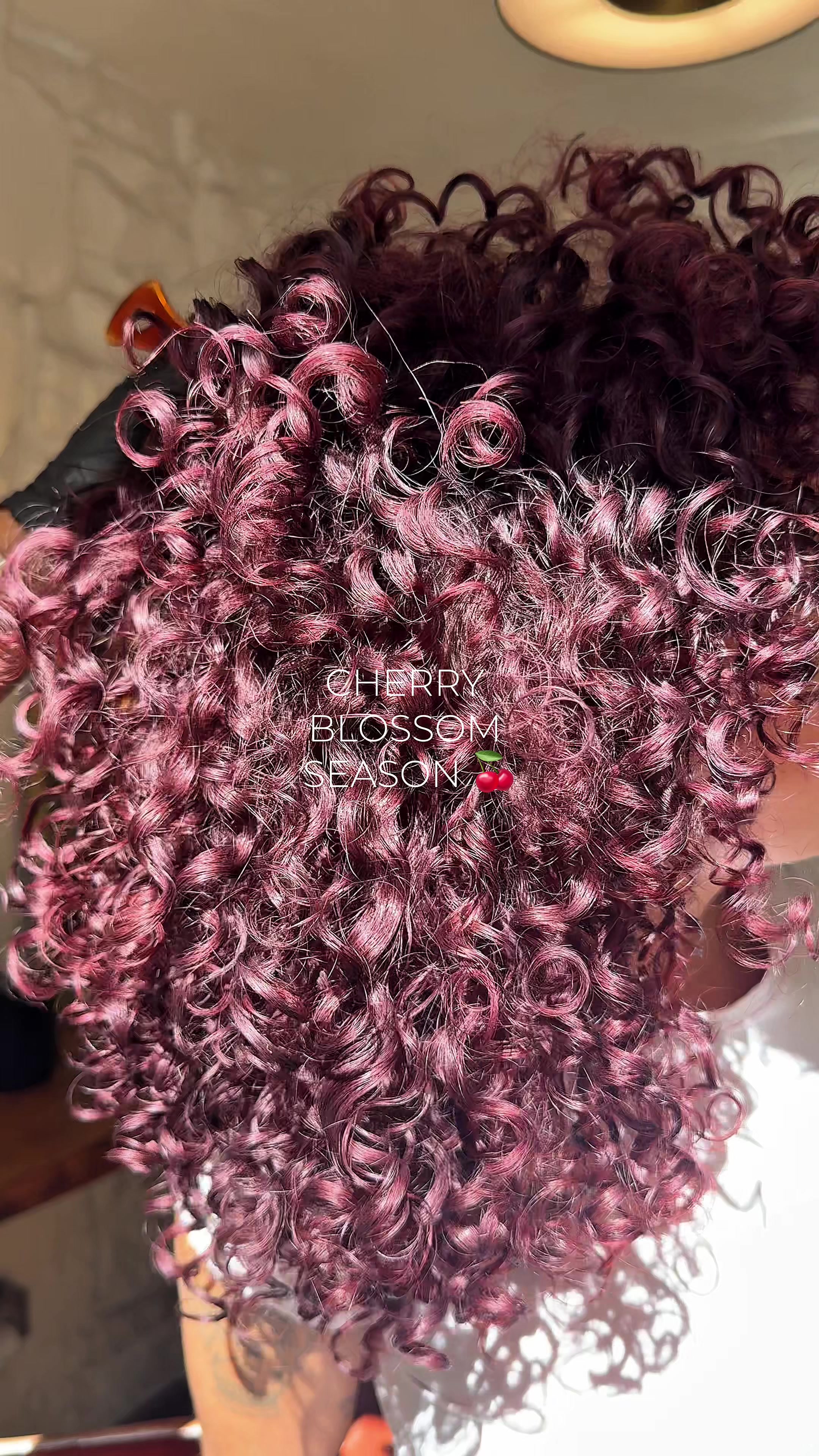 @Hair studio by anissa ✨🌸