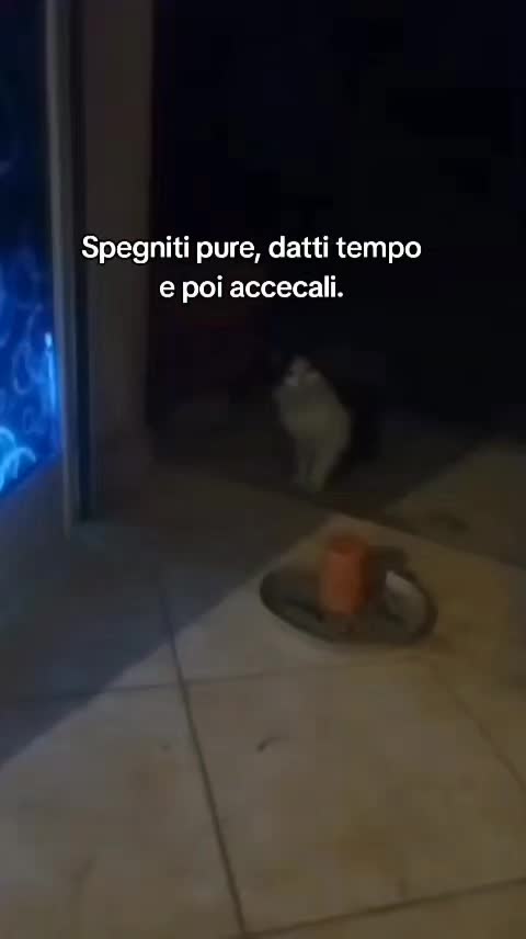 @ELETTRA L'ANIMALISTA