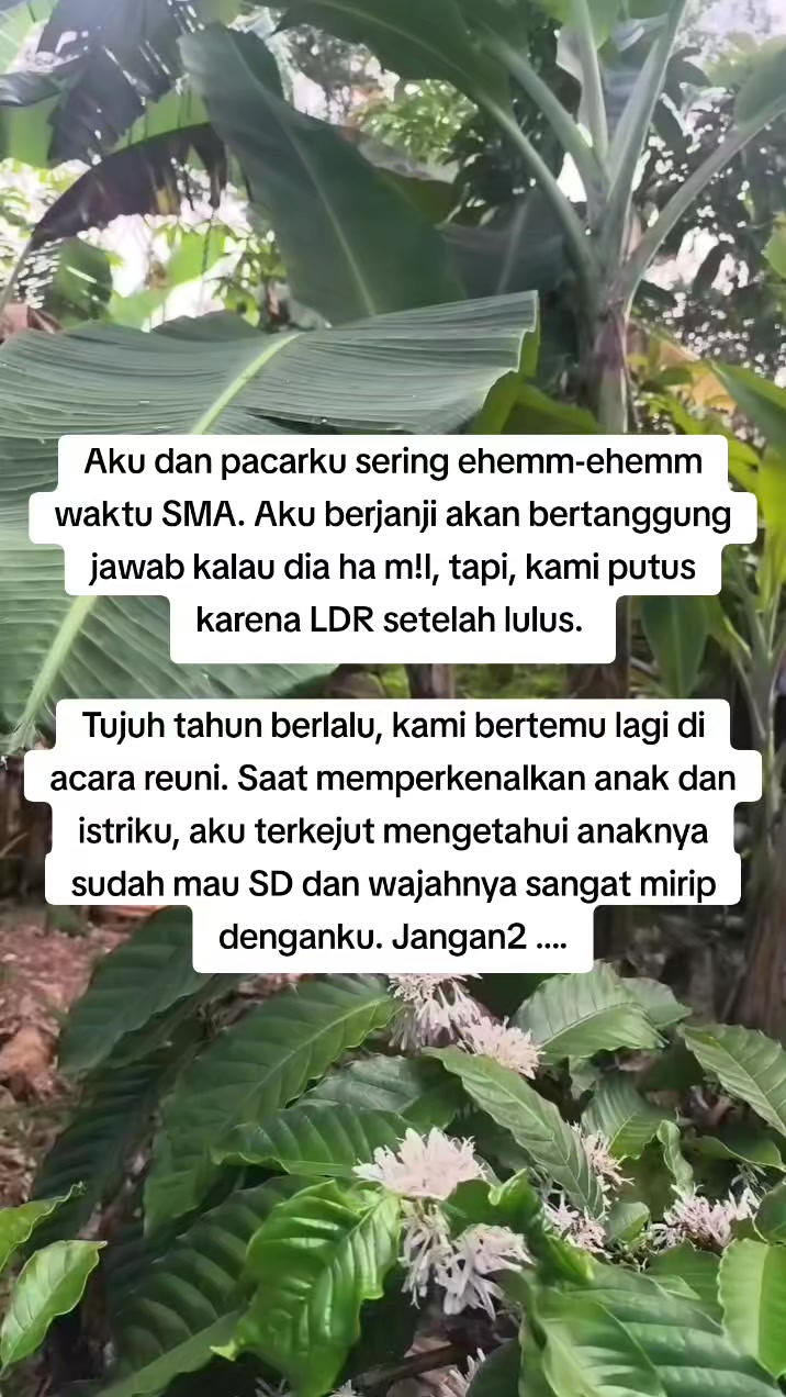 @Curhat Sekarang