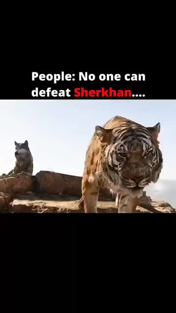 @MPANSO