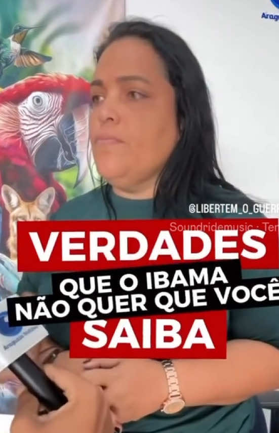 @Elisabete Silva